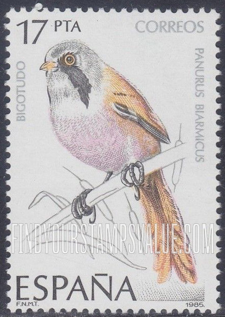 Birds: Panurus biarmicus