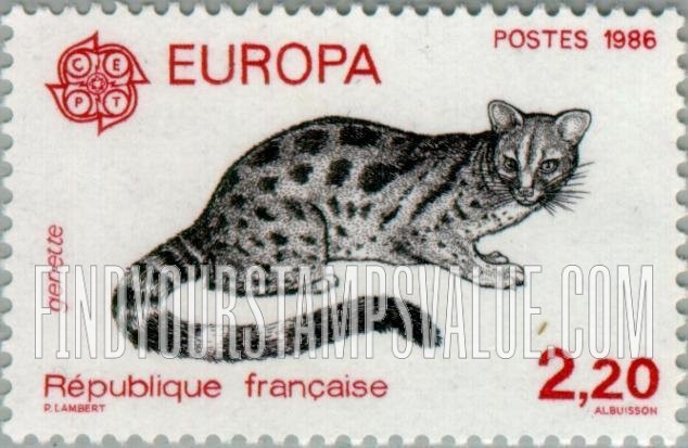 Europa 1986: Civer cat