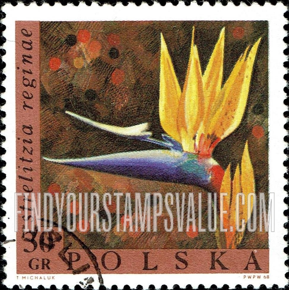 Exotic Flowers: Bird-of-Paradise Flower