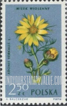 FindYourStampsValue: Flowers: Adonis vernalis