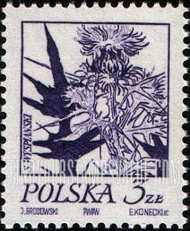 FindYourStampsValue: Flowers: Thistle