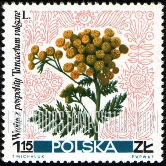 FindYourStampsValue: Flowers: Common pansy