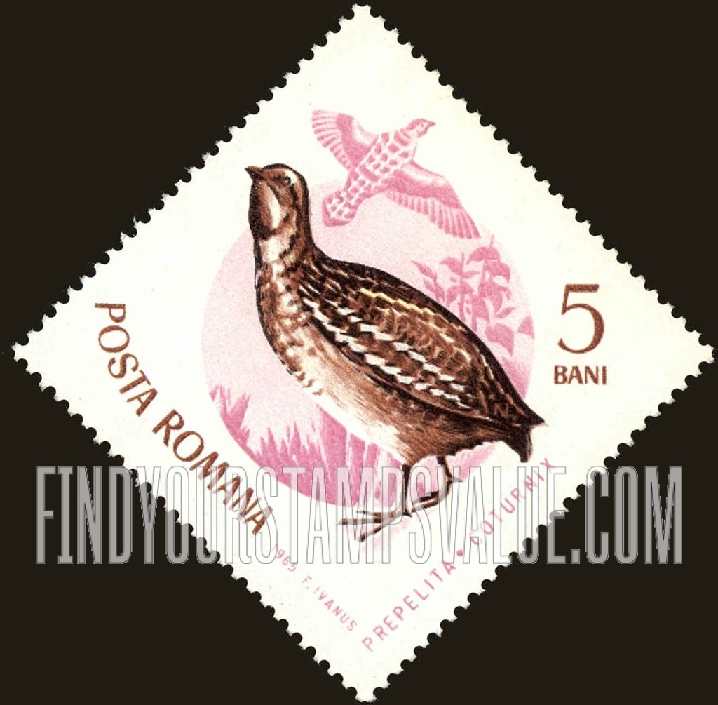 Birds: European Quail