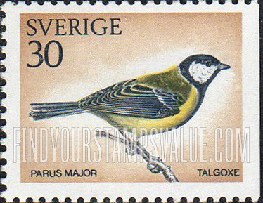 Birds: Great titmouse