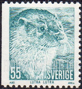 Protected Animals: Otter