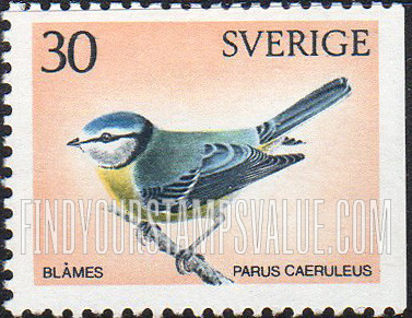 Birds: Blue titmouse