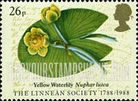 FindYourStampsValue: Great Britain (United Kingdom): The Linnean Society of London, 200th Anniversary - Yellow Waterlily