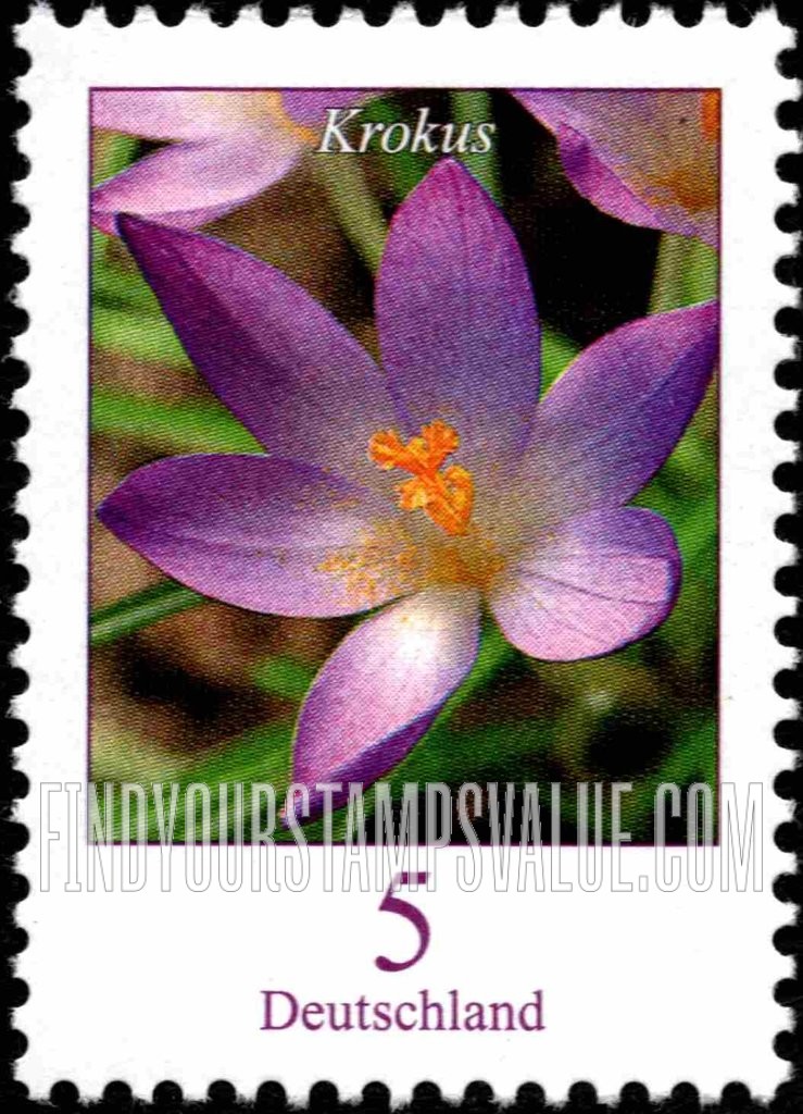 Flowers: Krokus (crocus)