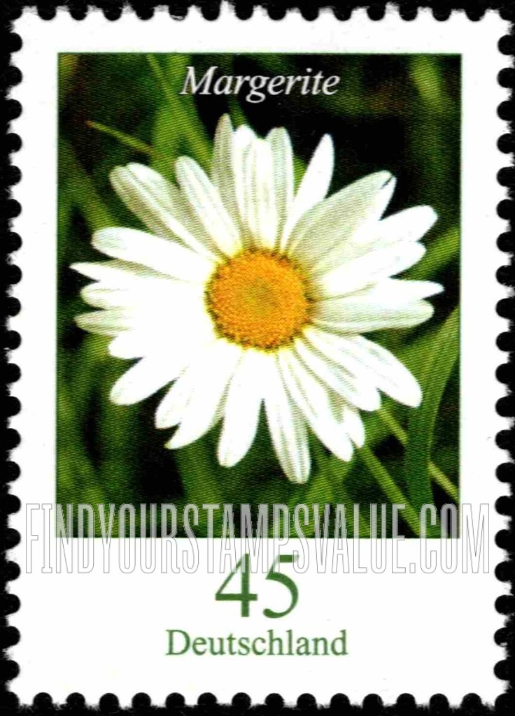 Flowers: Margerite (daisy)