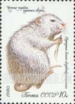 Russia: USSR, Furry Animals - Azerbaijan Nutria