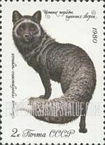 Russia: USSR, Furry Animals - Dark Silver Fox