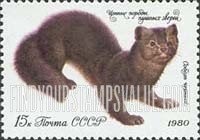 Russia: USSR, Furry Animals - Black Sable