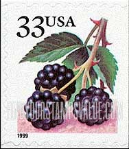 FindYourStampsValue: BERRIES - Blackberries, Self-Adhesive booklet stamp