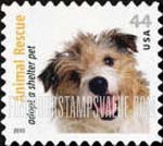 ANIMAL RESCUE - Wire-haired Jack Russell Terrier, Self-Adhesive stamp