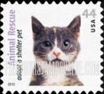 ANIMAL RESCUE - Gray, White and Tan Cat, Self-Adhesive stamp