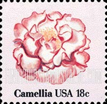 FLOWERS - Camellia